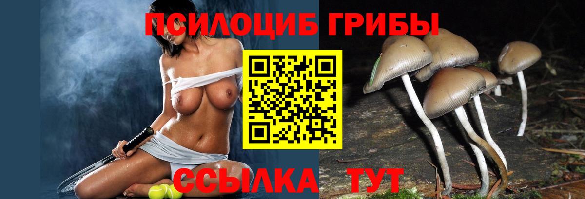 дарнет шоп  Вход с VPN  Сызрань  Псилоцибиновые грибы Cubensis  Псилоцибиновые грибы MAGIC MUSHROOMS 